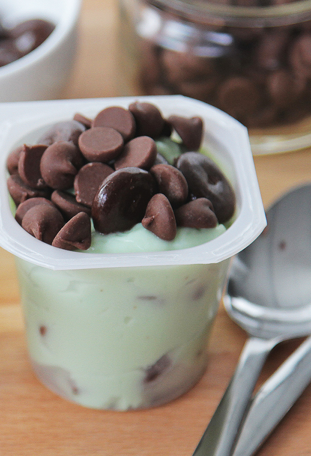 Mint Chocolate Chip Pudding Recipe