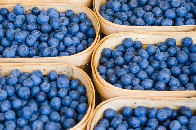 Baskets of Blueberries